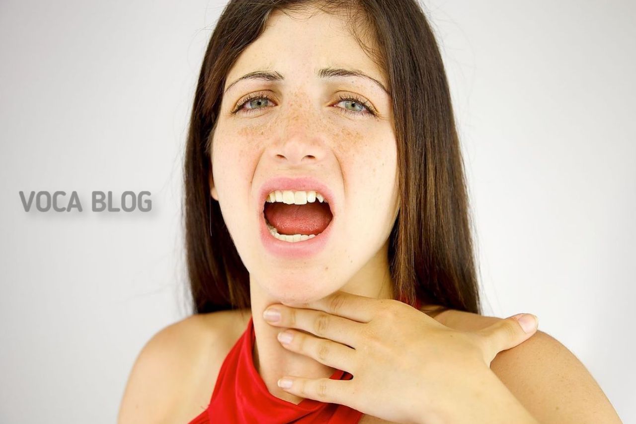 Как не сорвать голос? voca-stock.ru