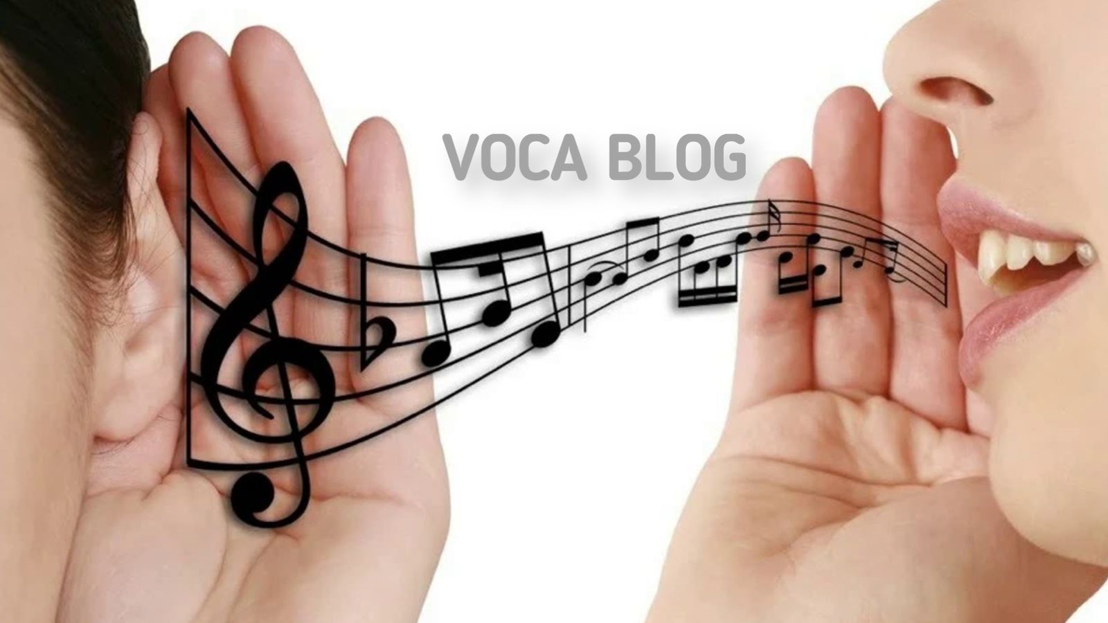 Как развить полётность голоса? voca-stock.ru