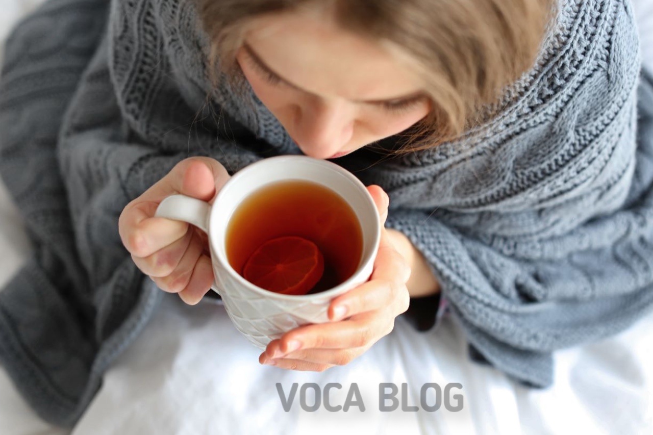 Как восстановить голос после новогодних праздников? voca-stock.ru