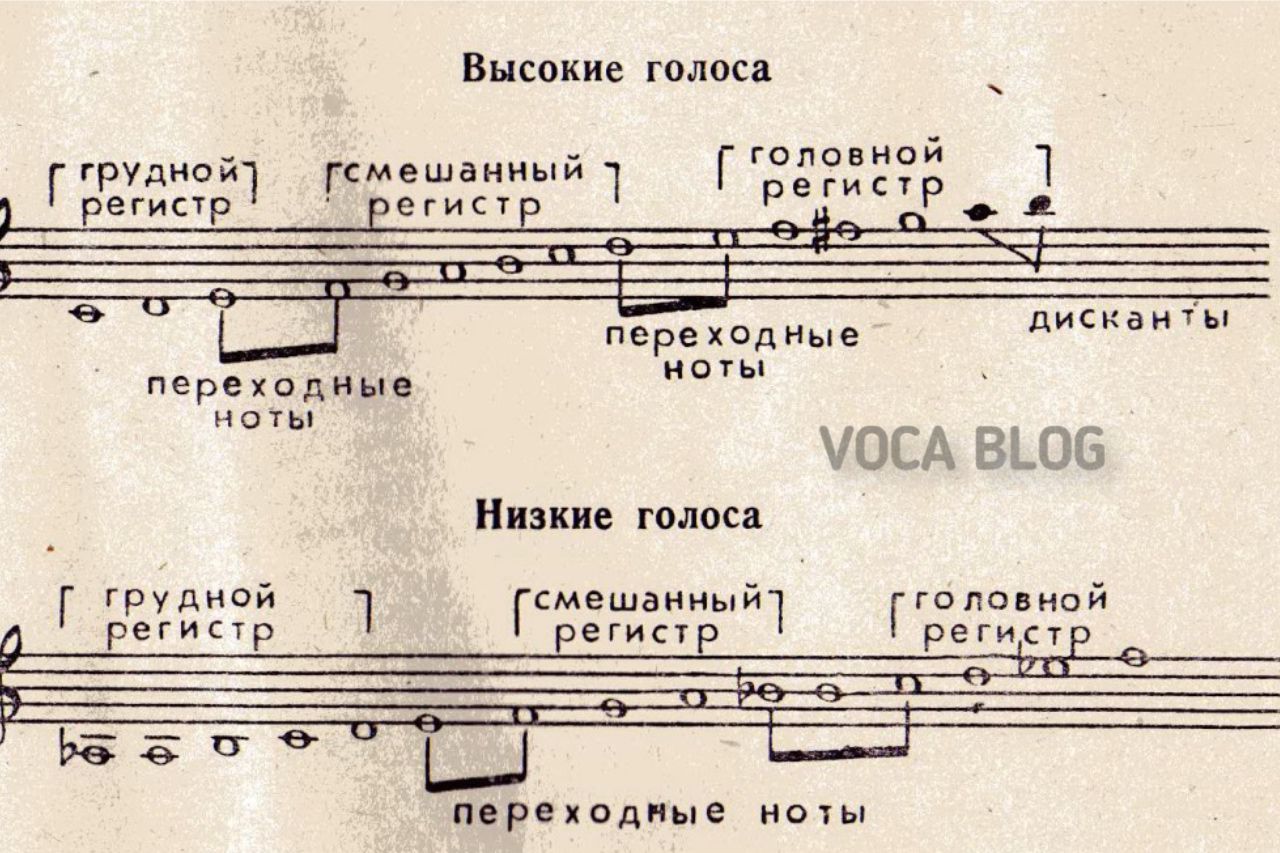 Упражнения на регистры голоса voca-stock.ru