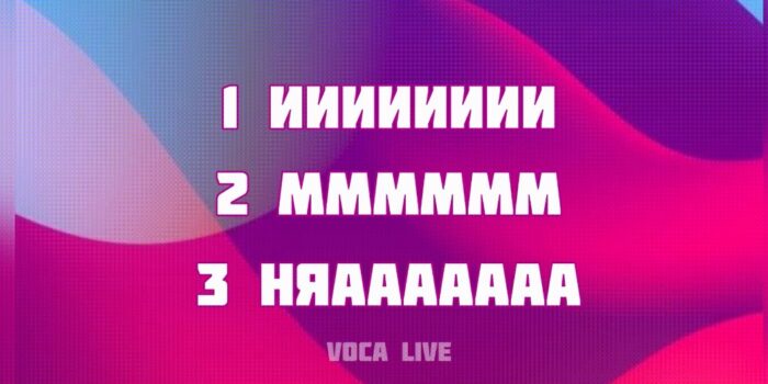 Voca Live 2