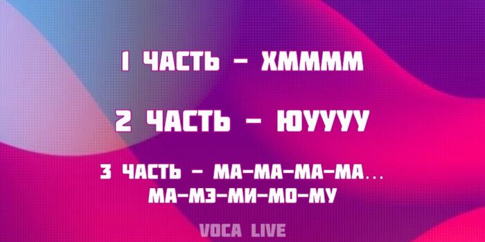 Voca Live 5