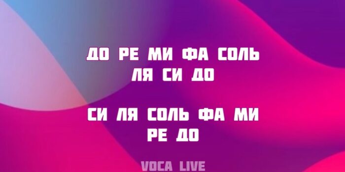 Voca Live 21