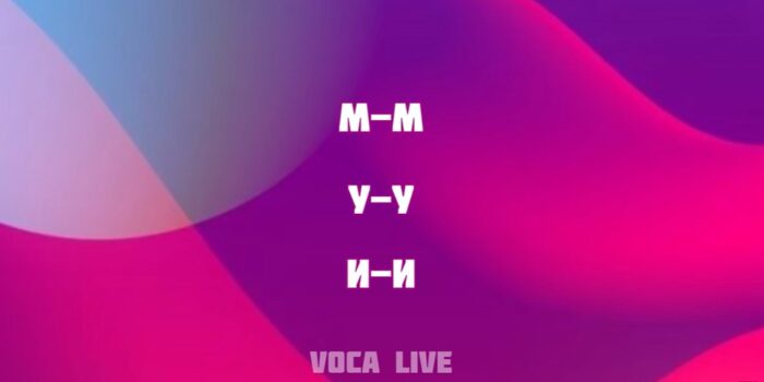 Voca Live 23