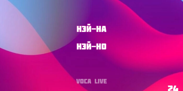 Voca Live 24