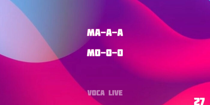 Voca Live 27