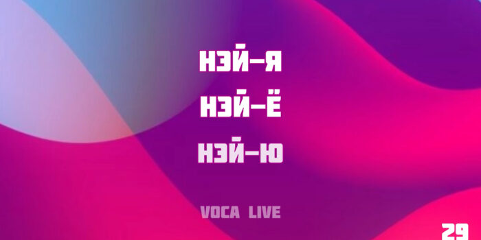 Voca Live 29