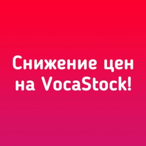 Снижение цен на Voca Stock